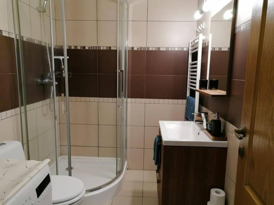 Zen By Downtown Apartments Târgu-Mureş Eksteriør billede