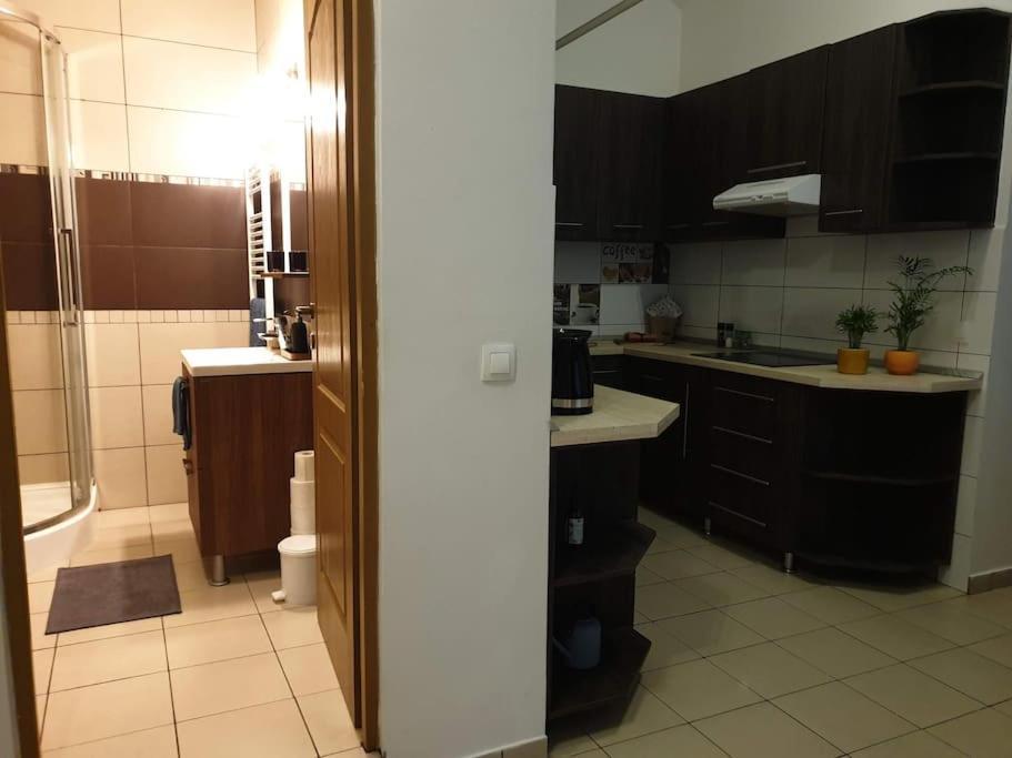 Zen By Downtown Apartments Târgu-Mureş Eksteriør billede